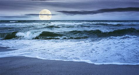 A type of polyphonic composition based on one main theme is a fugue. And yet, the moon whispers secrets to the ocean, as if it were a conductor orchestrating the tides.